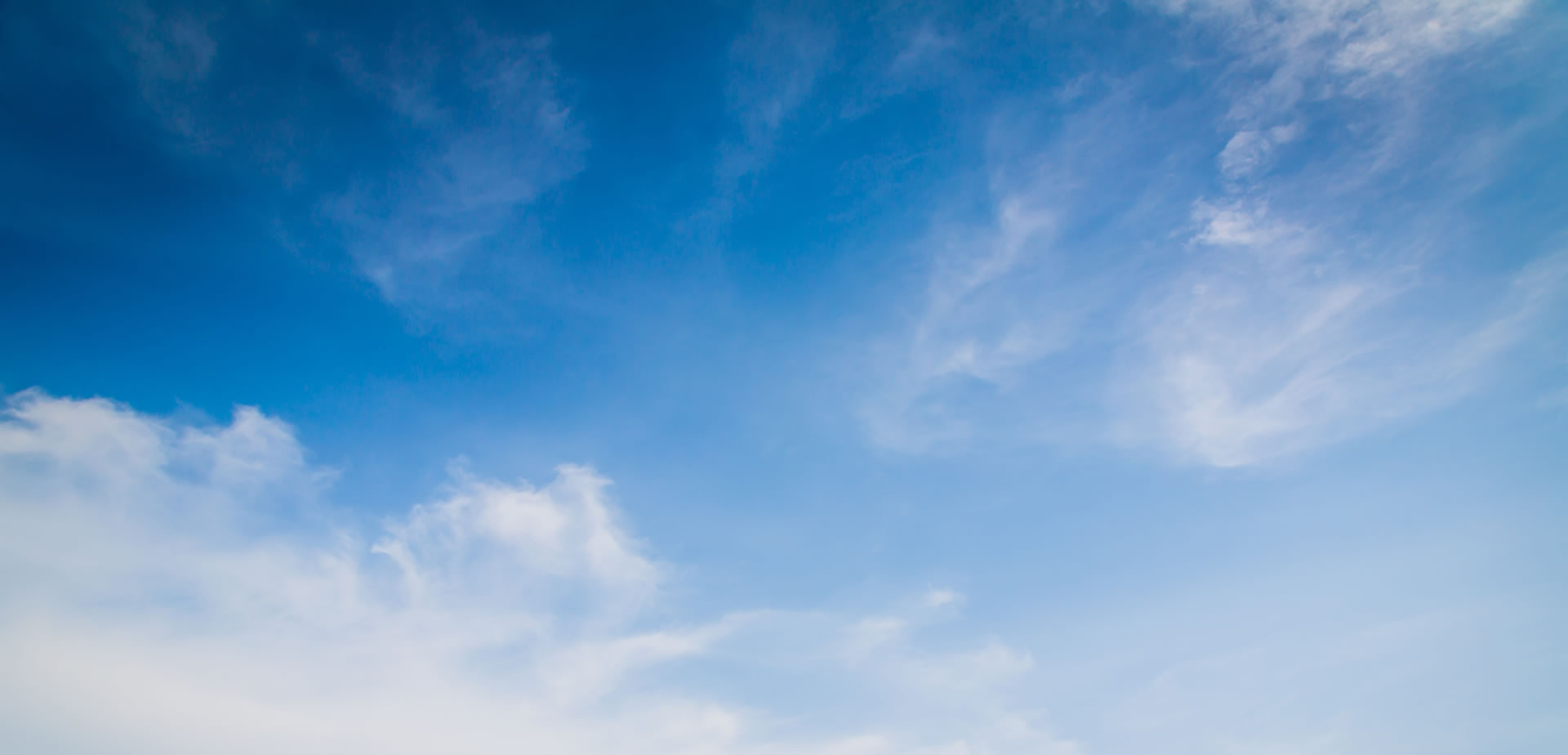 What We Know About People Who Lie on a Resume